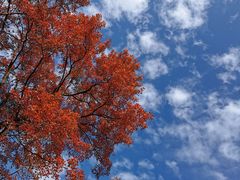 -广州市石门国家森林公园