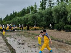 -前小桔亲子创意农场·草莓采摘·露营烧烤