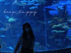 -多彩贵州城极地海洋世界