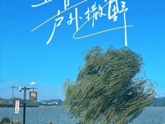-东钱湖旅游度假区