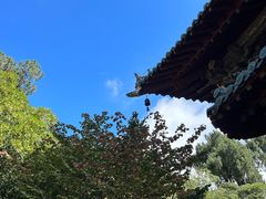 -报恩寺(平武县)