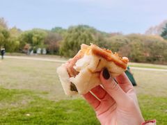 -上海共青森林公园