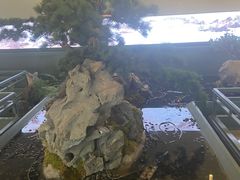 -潮上潮(南中环店)