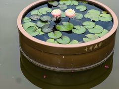 -圆通禅寺
