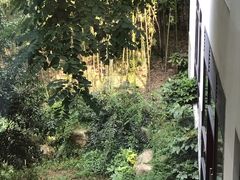 -苏州环秀晓筑养生度假村