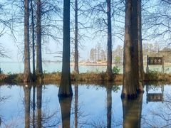 -东湖落雁景区