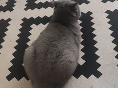 -Rabbit Cafe私房西餐甜点咖啡(栖霞路店)