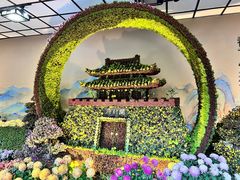 -杭州植物园