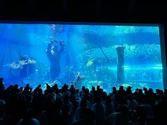 -波塞冬旅游度假区