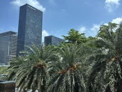 -大中华希尔顿酒店-念自助餐·嗨啤·小龙虾