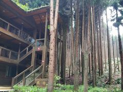 -武陵山森林公园
