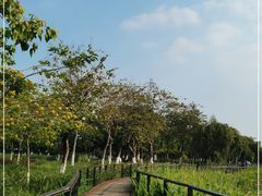 -映月湖公园