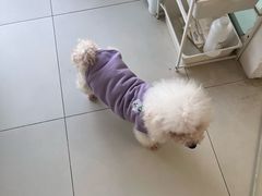 -怪兽屋·羊驼·猫咖·狗咖(俊华广场店)