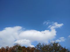 -钟山体育运动公园