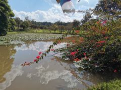 -中国科学院西双版纳热带植物园