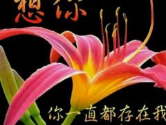 芋艿煲-阿英煲(凉城路店)