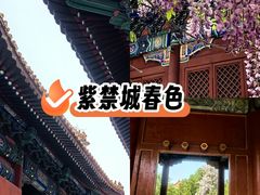 -北京国子监胡同