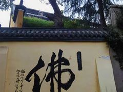 -赭山公园
