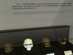 -北京周口店北京人遗址博物馆