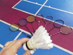 -布波运动公园羽毛球场