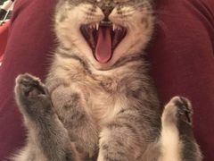 -百信宠物医院(东升街店)