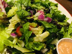 -Tubestation站点比萨(五道营店)