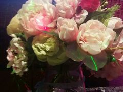 -好乐迪KTV(金钻店)