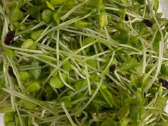 -洁捷餐饮(双桥农场店)