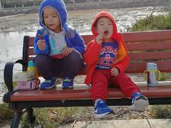 -大兴滨河森林公园