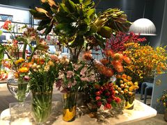 -BEAST野兽派(上海浦东嘉里城店)