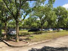 场地-嘉北郊野公园北游客中心-地上停车场