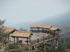 -铁山坪森林公园