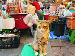 -唐人街(耀华力路)