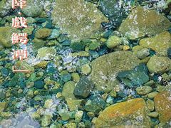 -石台牯牛降景区