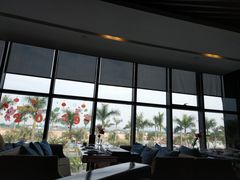 -法兰度航空主题餐厅(台山昌大昌店)
