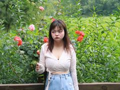 -合肥滨湖国家森林公园