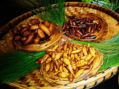 -昆虫窝子·特色云南菜(拓东路总店)