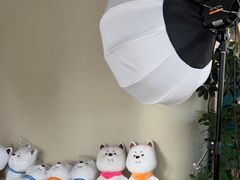 -MONANA蛋糕研究所