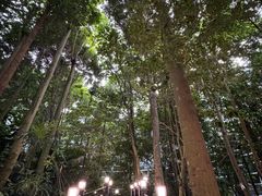 -吉隆坡国际机场
