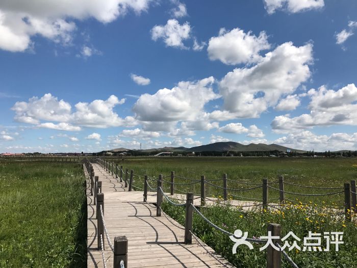 五花草甸-图片-沽源县周边游-大众点评网