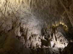 -怀托摩萤火虫洞