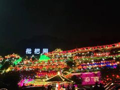 -枇杷园食为鲜火锅(南山店)