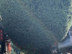 -福州仓山万达浦上大道地铁站锦江都城酒店