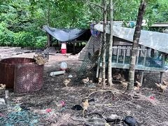 -动邦皮划艇·桨板·独木舟·团建户外运动俱乐部