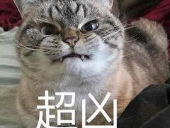 超凶的收银员-朱鸿兴面馆(镇湖店)