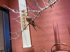 -单家老院·院子里的青岛菜(沙子口店)
