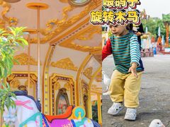 -南湖梦幻岛