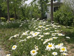 -北京国家会计学院