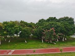 -鹤之洲湿地公园