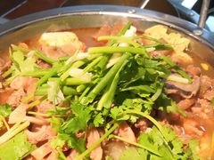 -古乐牛香·鲜牛肉牛杂火锅(解放东路店)